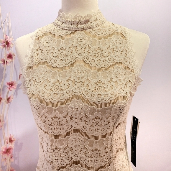 TRIXXI White Lace With Tulle Hem Dress - Picture 4 of 10